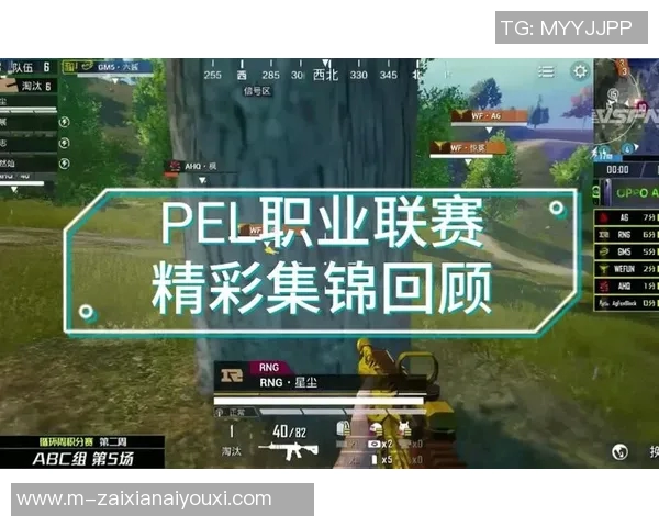 2026年3月份新闻和平精英战术解析RNG战队灵活应变能力的深度剖析与探讨